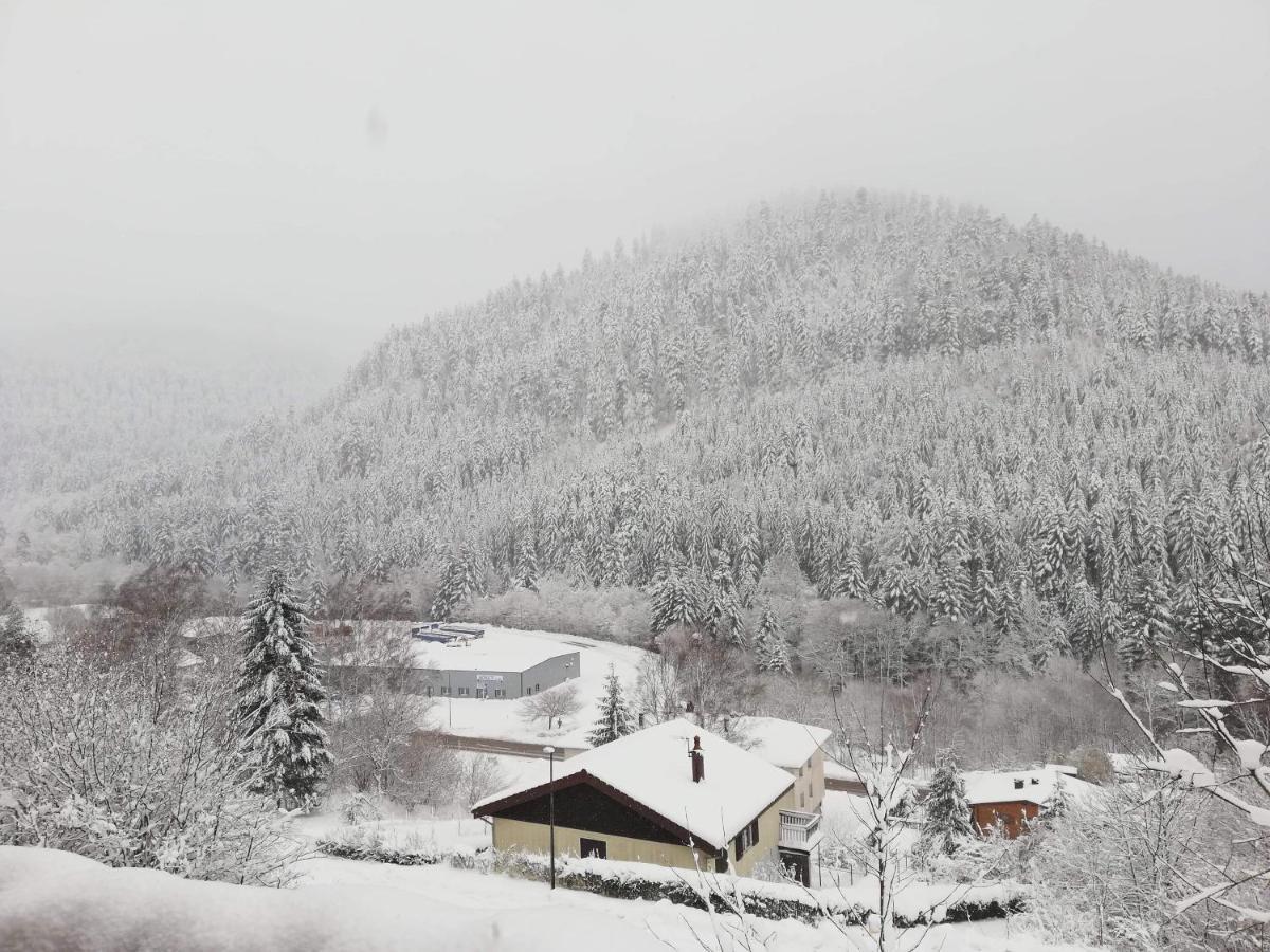 Chalet Le Bruleux La Bresse Eksteriør bilde